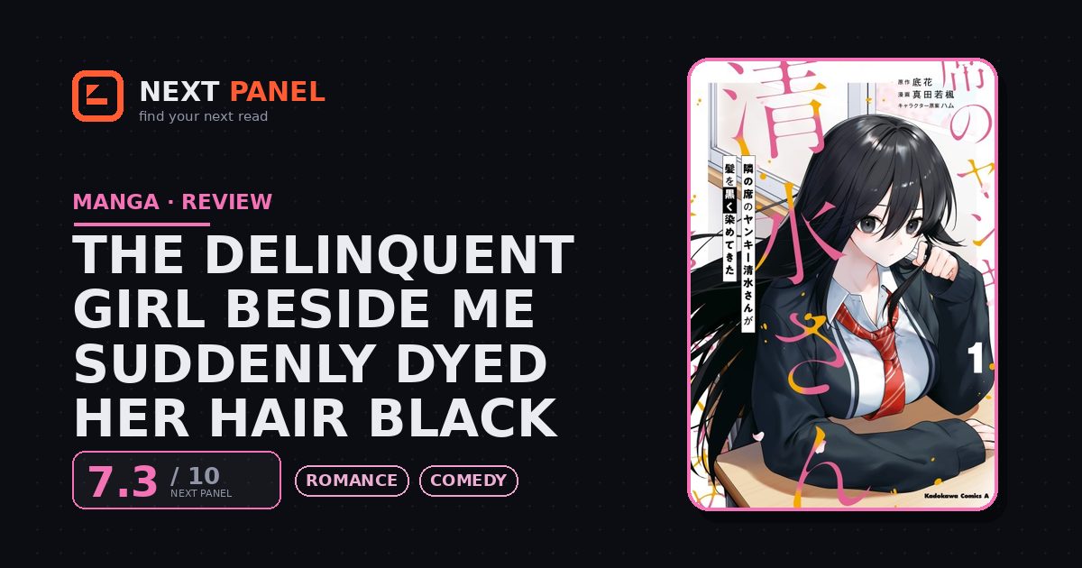 The Delinquent Girl Beside Me Suddenly Dyed Her Hair Black cover - Next Panel review