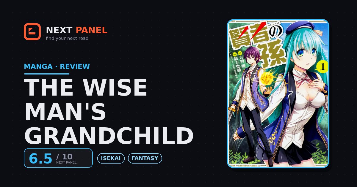 The Wise Man's Grandchild cover - Next Panel review