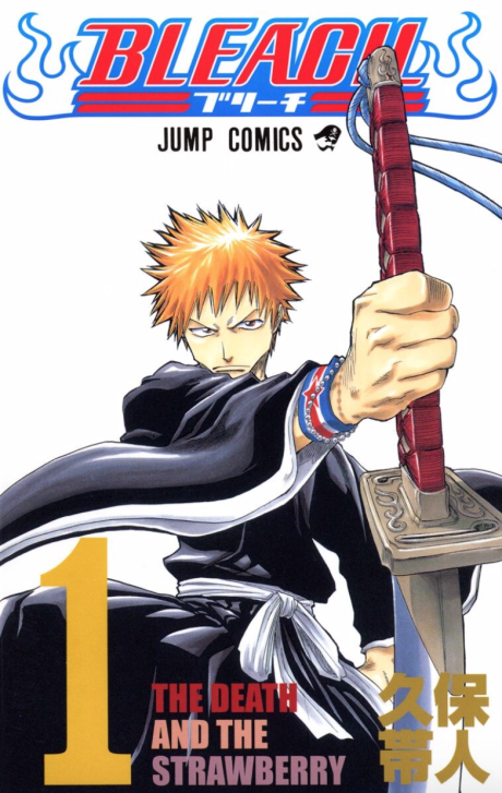 Bleach cover